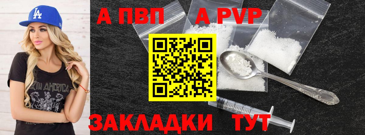 Альфа ПВП СК КРИС Кондопога