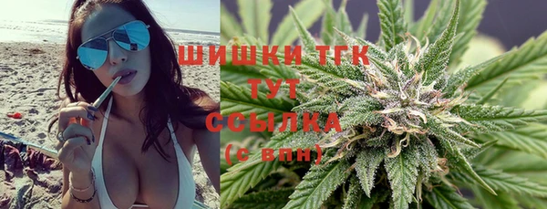 гашик Зарайск