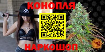 стаф Донецк
