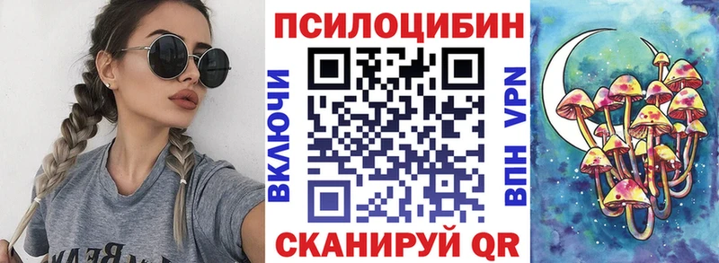Псилоцибиновые грибы мицелий  купить закладку  Кондопога 