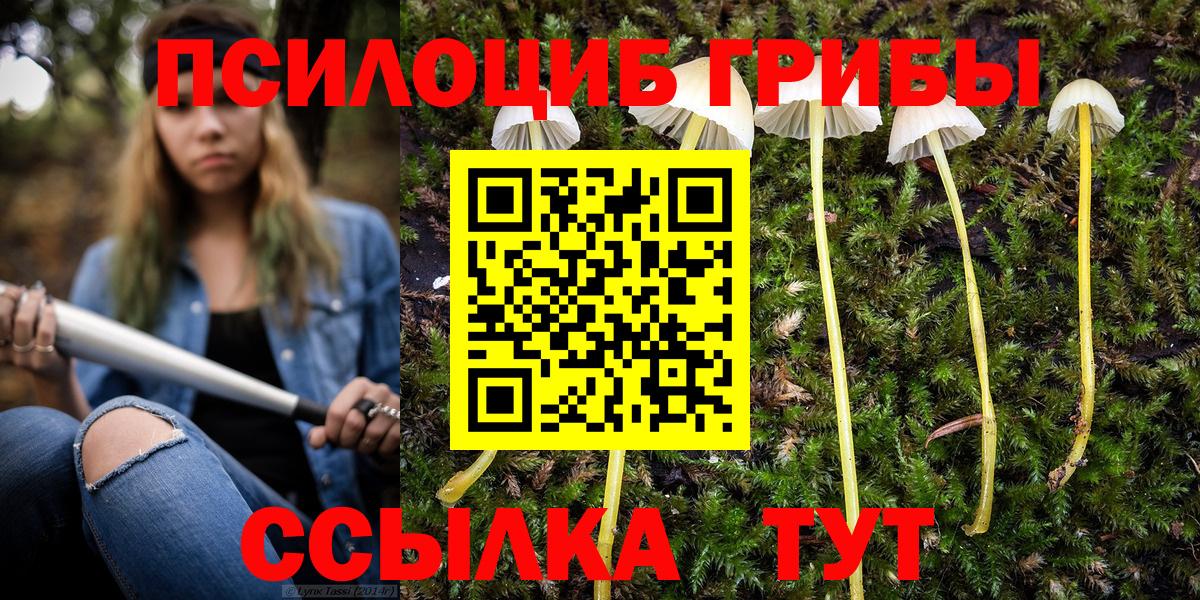 Кондопога  Галлюциногенные грибы мицелий  Вход с VPN 
