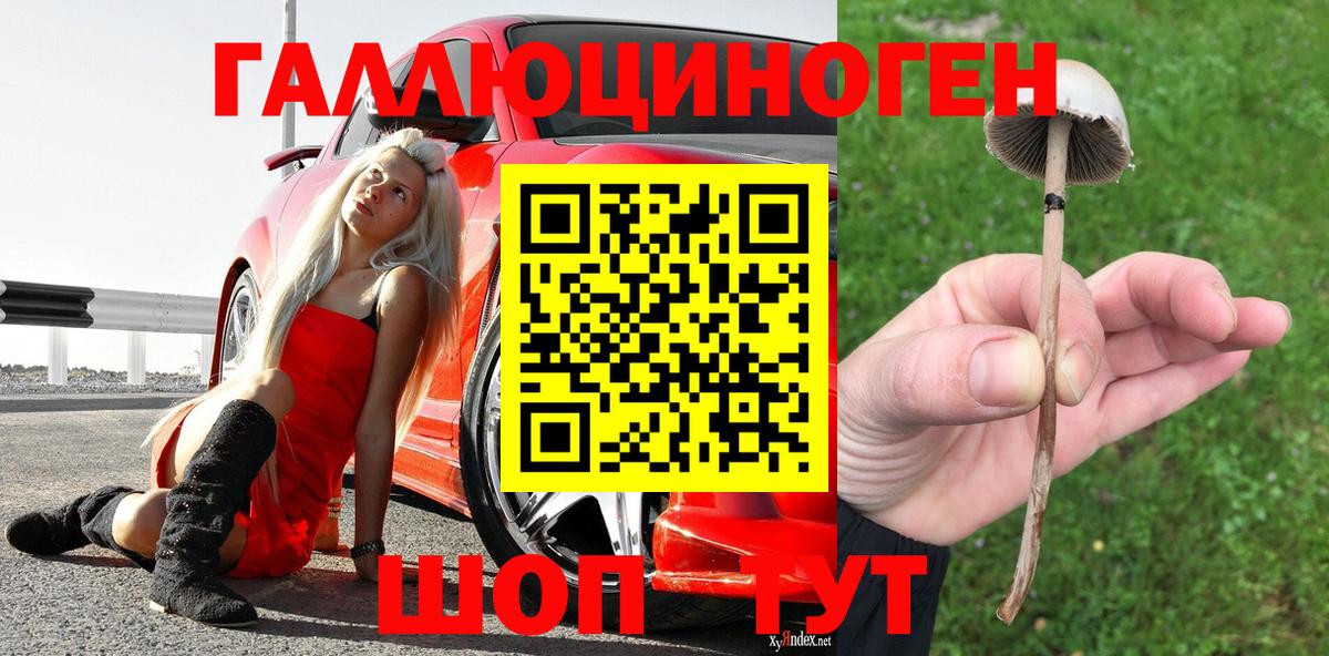 Псилоцибиновые грибы мухоморы Кондопога