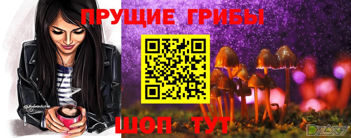  COCAIN Кондопога